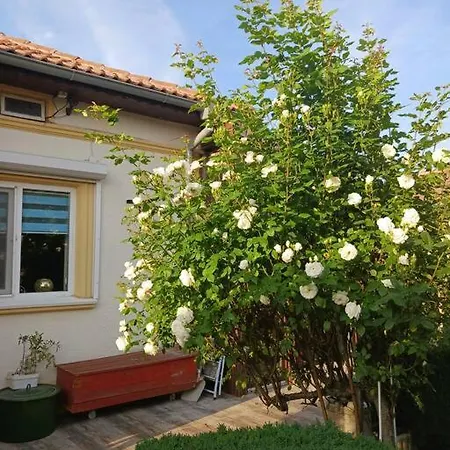 Garden Sokolovo Apartment Baltschik